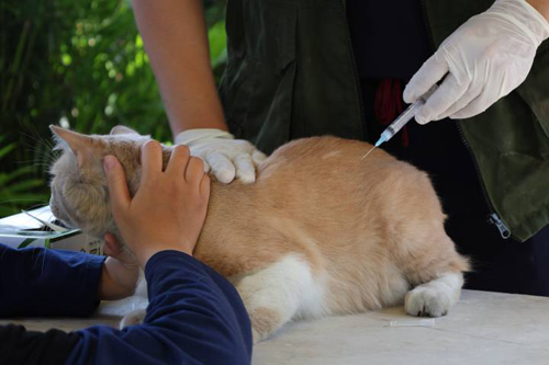 foto dok. diskominfo pemkot tng