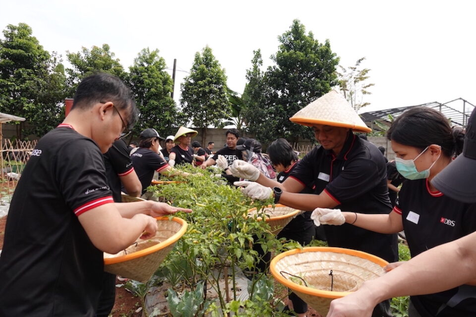 foto dok. dbs indonesia