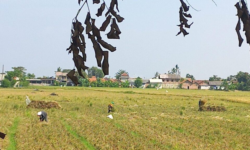 foto dok. diskominfo kab bekasi